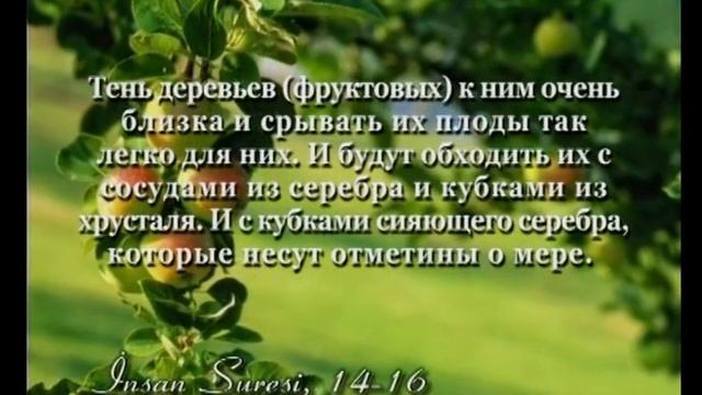 Коран Чтение смыслов избранных Сур и аятов Часть 1 - 6/6 смотреть онлайн