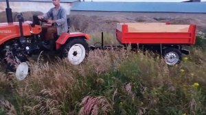 Выкопка однозубки чеснока