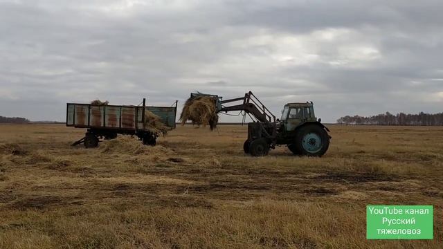 Вывозим сено.| Трактор МТЗ. | Небольшая история. смотреть онлайн