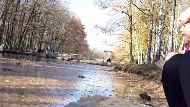 василиса в парке Новомосковск смотреть онлайн
