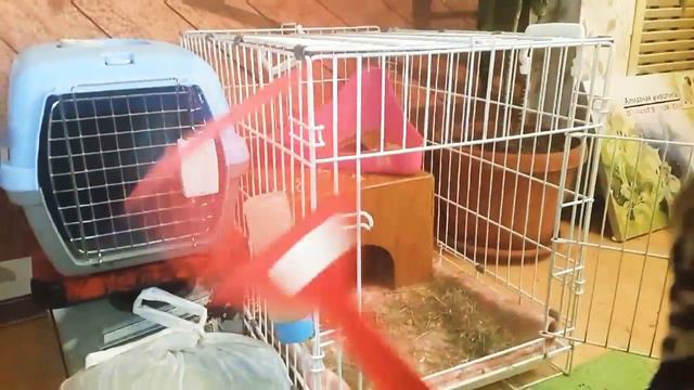 Мистический квест !!! Преследует меня !!! смотреть онлайн