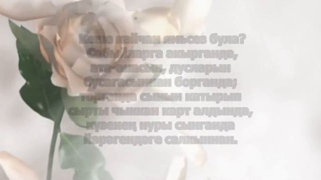 Реант Харис Кеше кайчан ямьсез ? смотреть онлайн