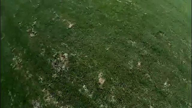 Eachin e58 drone 720p video footage смотреть онлайн
