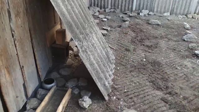 Вольер для кролика ошибки и их устранение смотреть онлайн