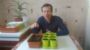 Черная ножка на рассаде.Я использую этот метод,он помог мне избавиться от черной ножки