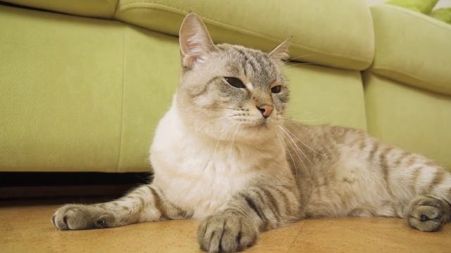 ЮКИ собирается на Дачу! Сериалити от ЮКИ 110 серия смотреть онлайн