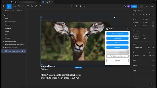 Remove the background from an image in Figma #figma #tutorial смотреть онлайн