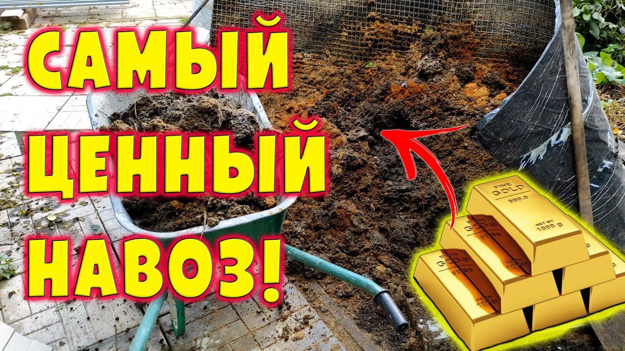 Самый ценный навоз смотреть онлайн