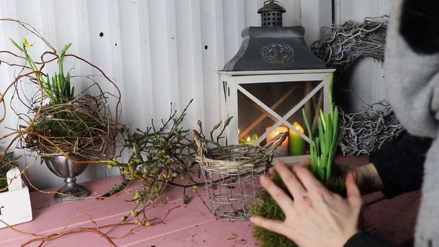 DIY: 3 Wilde & Natürliche DEKO-IDEEN Mit NARZISSEN