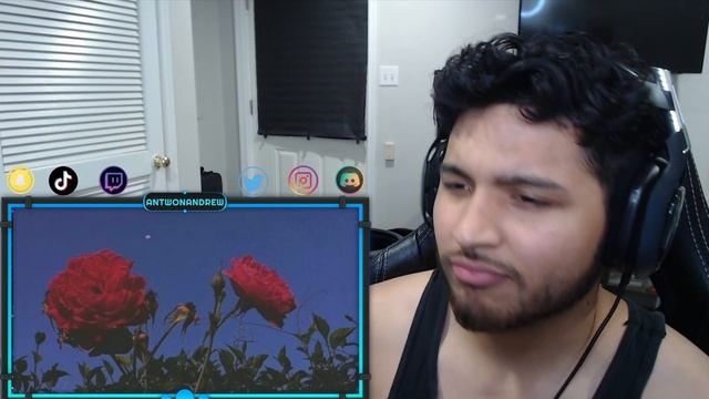 THIS SONG IS HARD!! Lana Del Rey - Radio REACTION смотреть онлайн