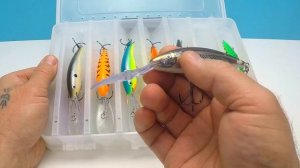 Уловистые Воблера Рапала Танцор.Воблера для Троллинга. RAPALA TAIL DANCER DEEP TDD 09.#Rapala