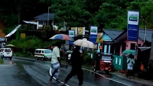 Micro Panda Safety Documentry. смотреть онлайн