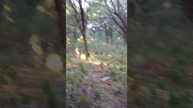 Ищем сектантов смотреть онлайн