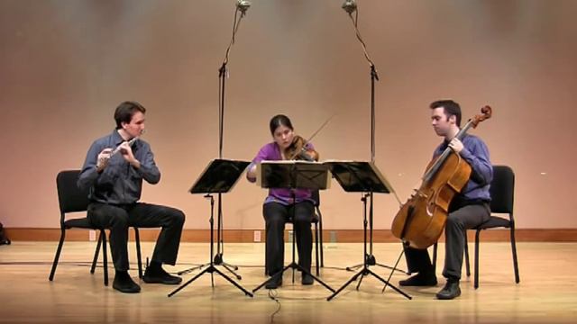 Devil's Dream & Chicken Reel - Flute, Violin & Cello смотреть онлайн