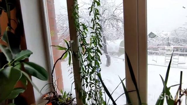 ПРОДАНО. Дом в Коломне, в черте города смотреть онлайн