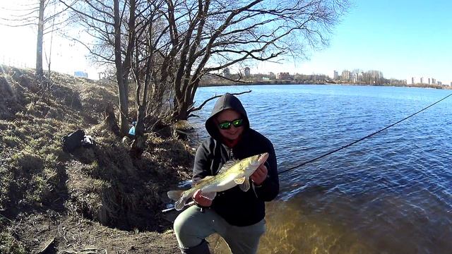 Ловля судака с берега на водохранилище! Техника и тактика! Джиг-Риг на судака! смотреть онлайн