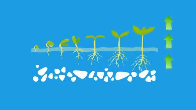 Нутривант плюс с фертивантом не имеет аналогов в мире смотреть онлайн