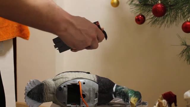 Обзор Lucky Duck HD смотреть онлайн