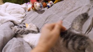 VLOG Три сестры остались дома украшать ёлку