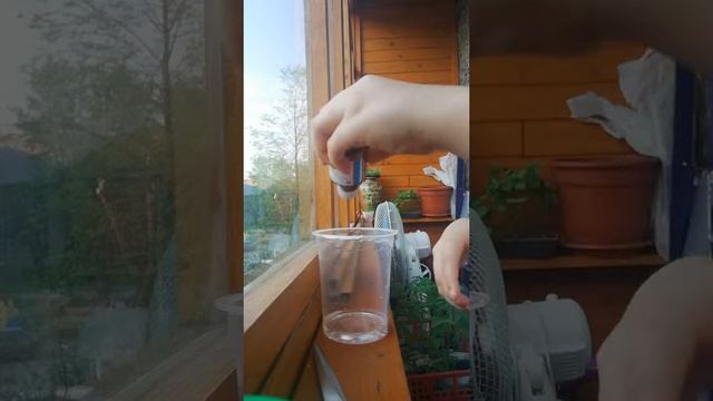 Как разводить тетраборат для слаймов смотреть онлайн