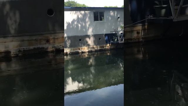 Рыбалка в Париже 🎣🐟 смотреть онлайн