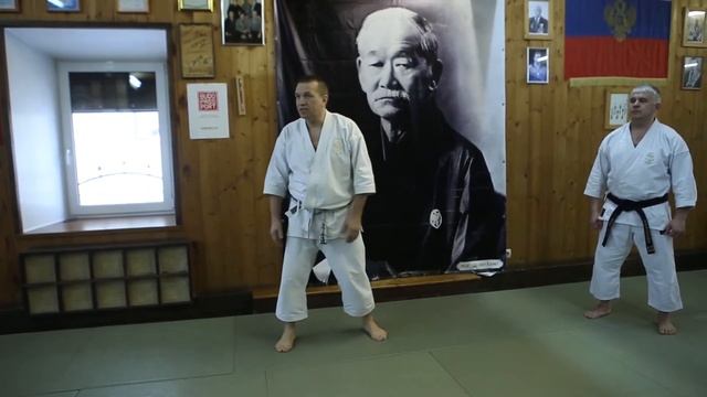 NA BUDO N 28 KASE HA KARATEDO IGOR SADOVNIKOV 7 DAN смотреть онлайн