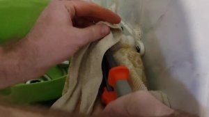 СМЕСИТЕЛЬ ДЛЯ ВАННОЙ FRAP УСТАНОВКА СВОИМИ РУКАМИ