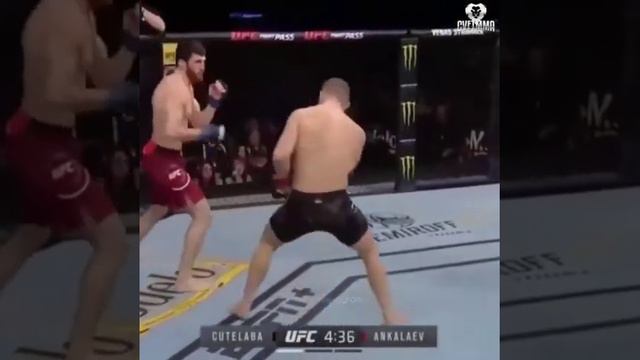 Магомед Анкалаев vs Ион Куцелаба первый бой судейская остановка смотреть онлайн