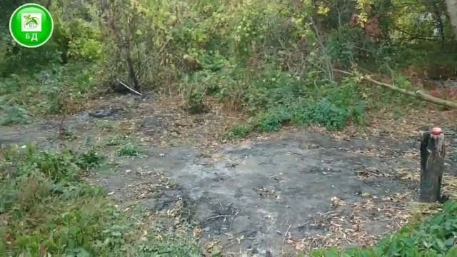 ДАЧА в долгосрочную АРЕНДУ смотреть онлайн