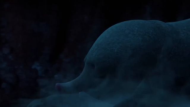 Le Mystère des Hautes Herbes (Aventure, Famille) Film complet en français смотреть онлайн