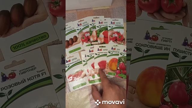 ОБЗОР СЕМЯН ТОМАТОВ ОТ ПАРТНЕР НА 2023Г. ОГОРОД НА КУБАНИ. shorts# смотреть онлайн
