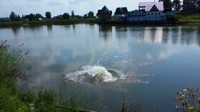 Гриша прыгает в реку с кувырком под водой смотреть онлайн