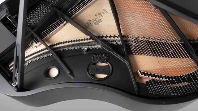 ?﻿ Schimmel Black Pearl Piano | An Exclusive Look | NAMM 2023 ﻿? смотреть онлайн
