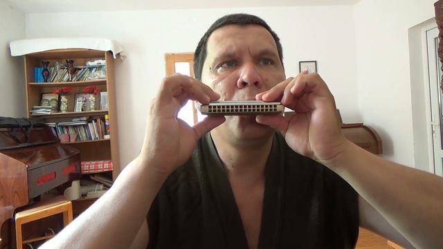 ¿Que Me Puede Dar Perdón? | Hohner Echo Harp 54/64 C/G US Only смотреть онлайн