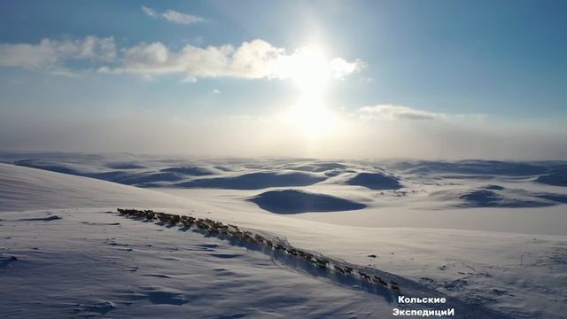 White silence - February 2021 смотреть онлайн