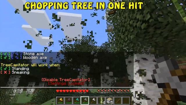 TreeCapitator Datapack 1.16.5 for Minecraft Spotlight - Download, Installation and Gameplay смотреть онлайн
