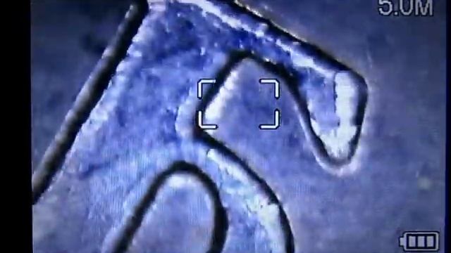 3 вещи под микроскопом смотреть онлайн