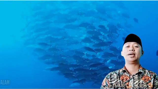 Narasi Moderasi Beragama Background Nusantara @AWK91. смотреть онлайн