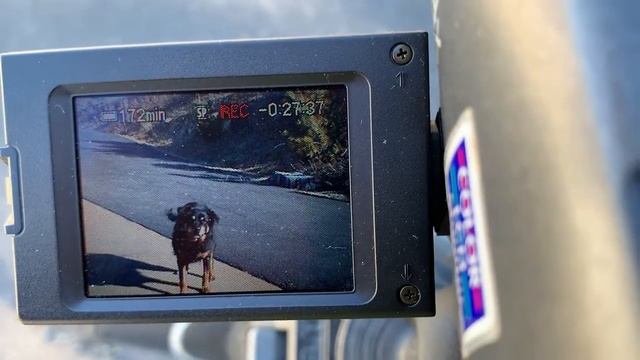 Sony trv-25 смотреть онлайн