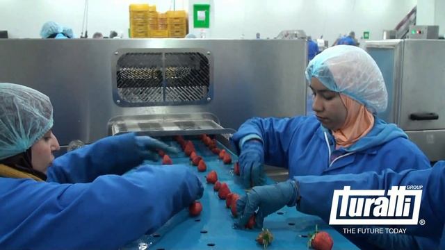 Линия обработки клубники с обрезкой хвостиков смотреть онлайн