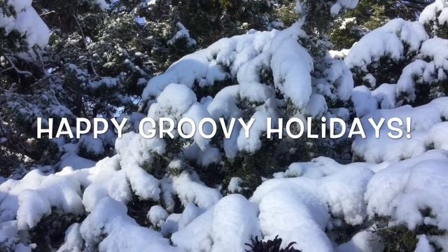 Happy Holidays from Groovy Girls! смотреть онлайн