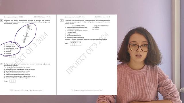 Разбор Демоверсии ОГЭ по биологии 2024 смотреть онлайн
