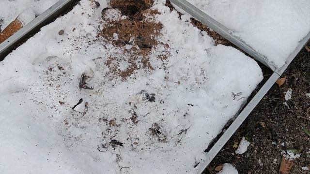 19.11.22.Дача..Зима уже близко.. смотреть онлайн