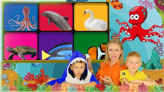 Что это за животное океана? - Морские животные для детей ❤️Учим морских животных для малышей и дете смотреть онлайн