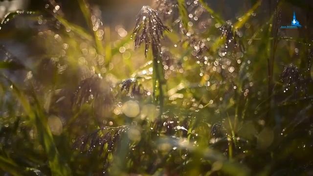 СТРАХ ПОТЕРЯТЬ ОТНОШЕНИЯ смотреть онлайн