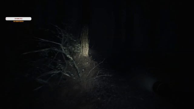 Ведьма из Блэр. Часть 1.