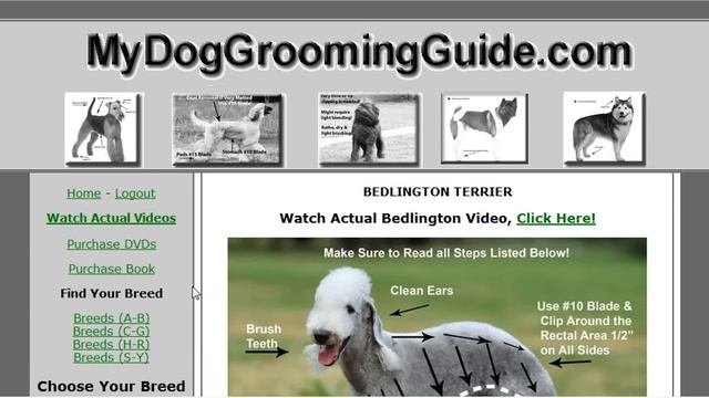 Pet Grooming School at OnlineGroomingSchool.com смотреть онлайн