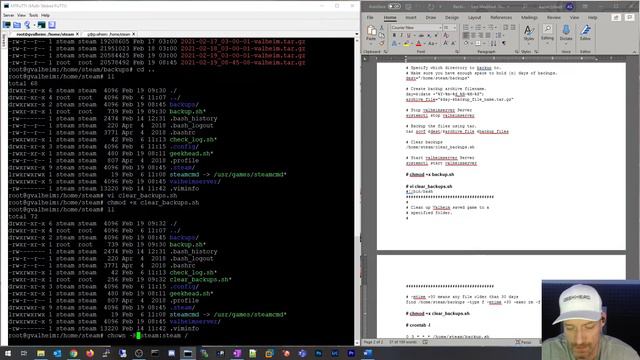 How to Backup Valheim Dedicated Server смотреть онлайн