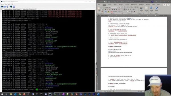 How to Backup Valheim Dedicated Server