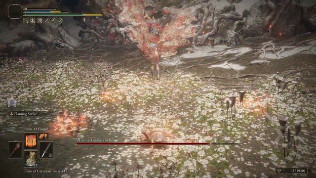 Elden Ring - Malenia... I must cut you down before you fall to the Rot. (Isshin Ashina Cosplay) смотреть онлайн